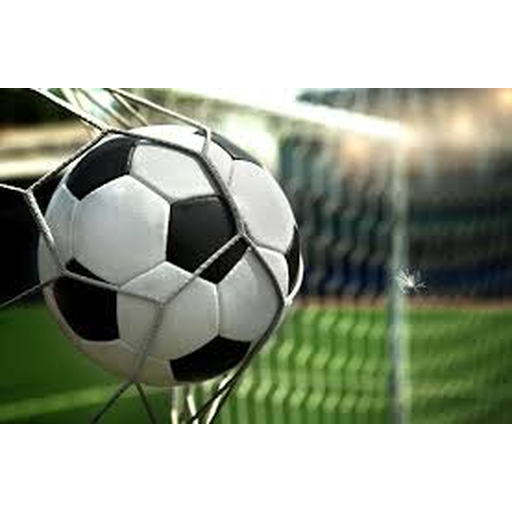 2026世界杯(WorldCup)官方指定网站 Logo